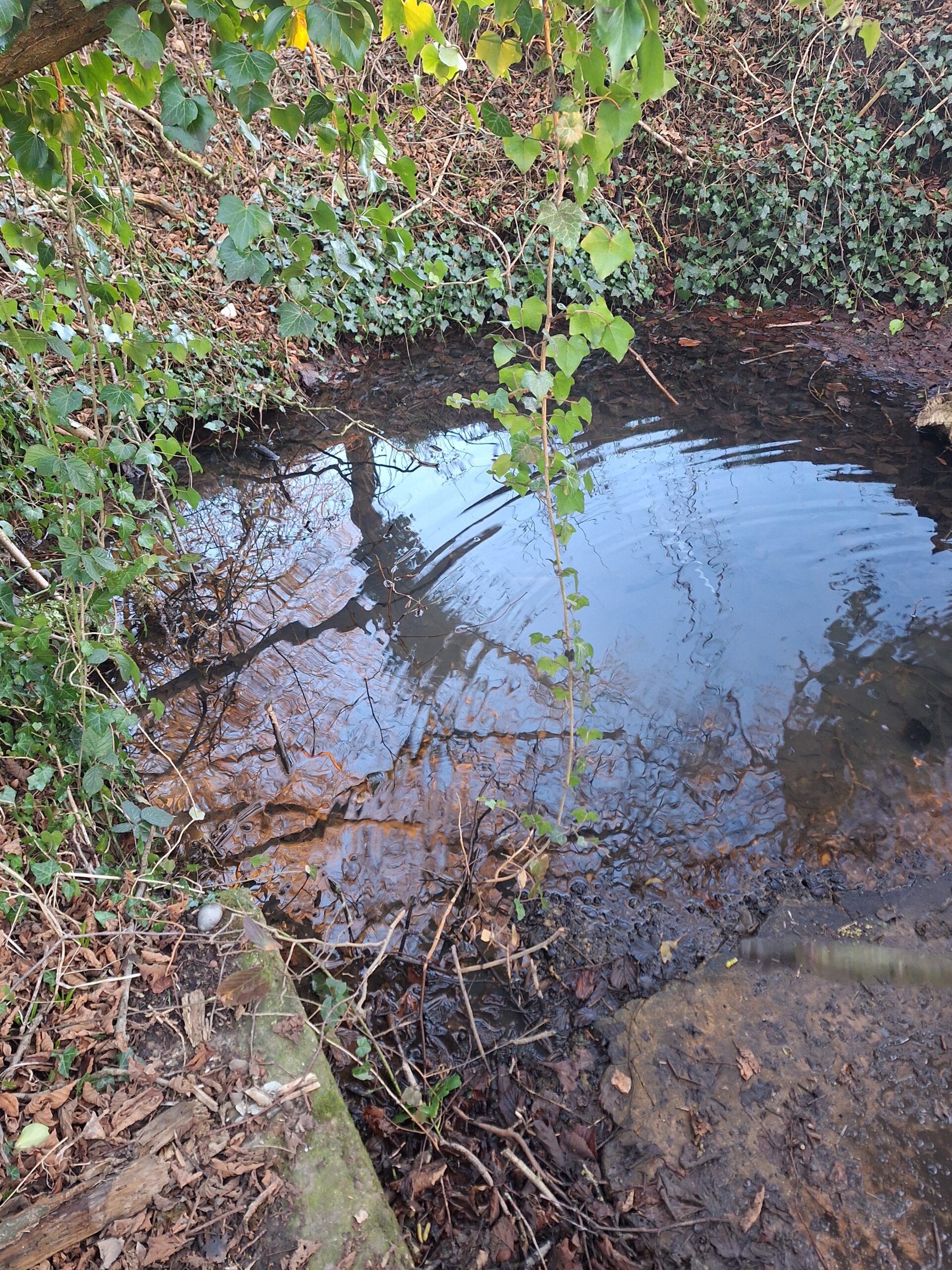 The Sacred Well - Runwell